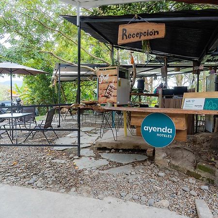 Ibagué Ayenda Flora Jaguar Bed & Breakfast エクステリア 写真
