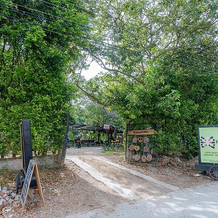 Ibagué Ayenda Flora Jaguar Bed & Breakfast エクステリア 写真