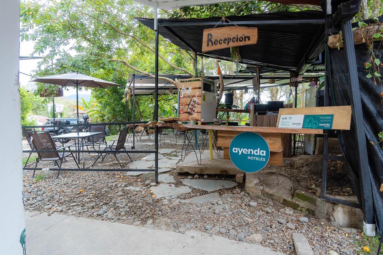 Ibagué Ayenda Flora Jaguar Bed & Breakfast エクステリア 写真