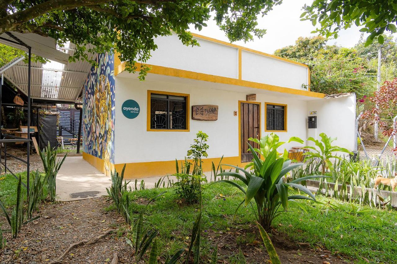 Ibagué Ayenda Flora Jaguar Bed & Breakfast エクステリア 写真
